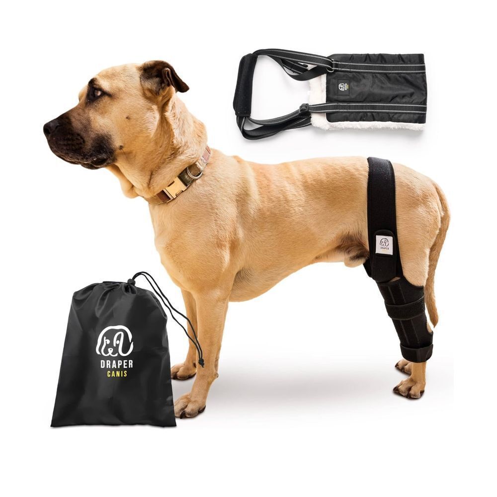 Dog Knee Brace for Torn ACL Hind Leg with  Injury Dog Sling Harness‎ size S